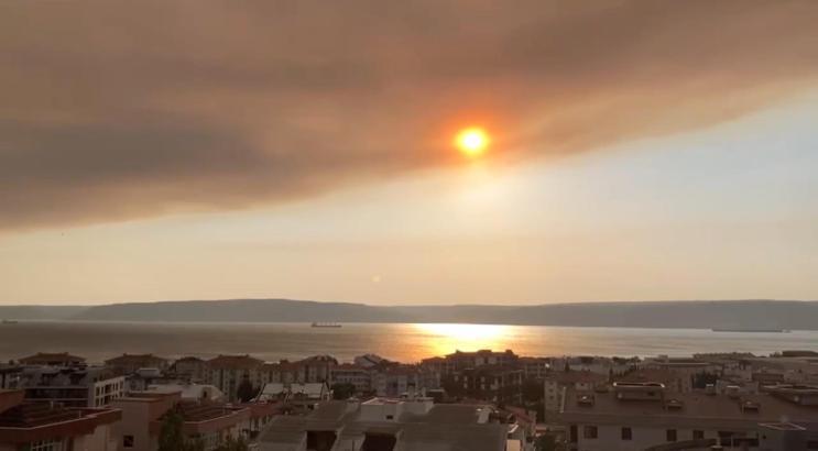 Tekirdağ'da orman yangını; alevler Çanakkale sınırına geçti (7)