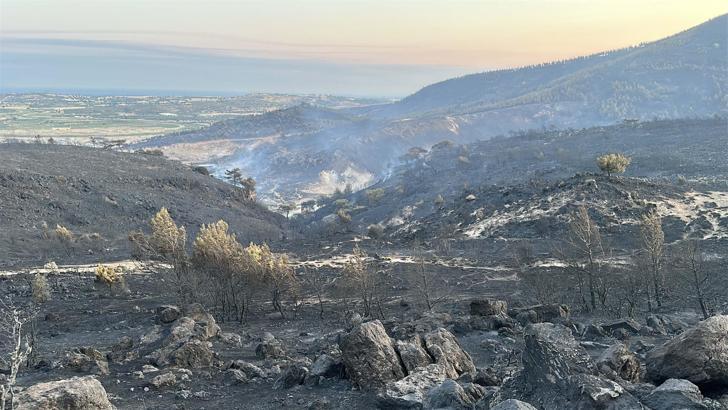 Çanakkale’deki orman yangını 2'nci günde; yanan alanlar dronla görüntülendi