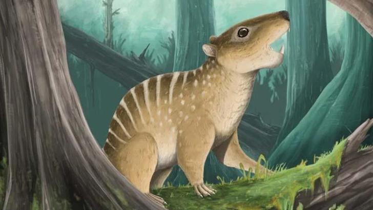 İngiltere’de bir öğrenci 145 milyon yıllık fosil buldu