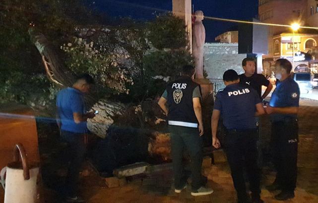 Ağaç devrildi; 1 yaralı