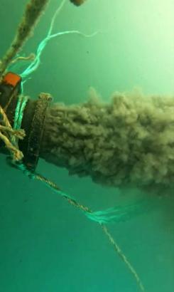 Antalya'da denize deşarj edilen suyun kirliliğe neden olduğu iddiasına inceleme