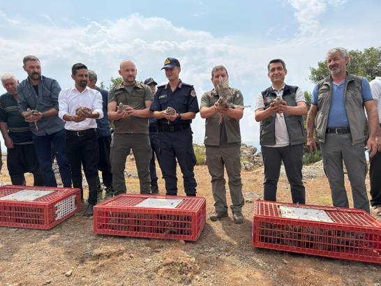 Keneyle mücadele için doğaya keklik salındı