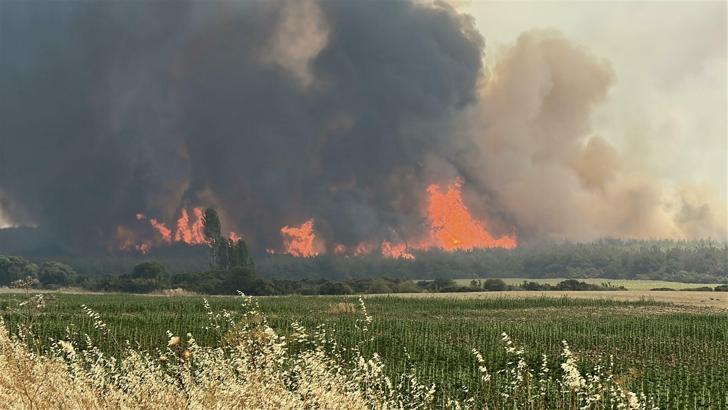 Tekirdağ'daki orman yangını 2'nci gününde (2)
