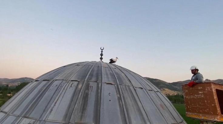 Yavru Leylek, ÇEDAŞ ekiplerinin desteğiyle yuvasına döndü