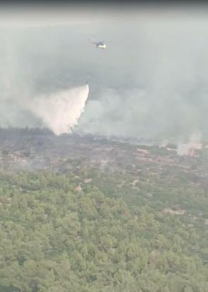 Muğla’da orman yangını