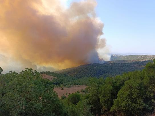 Balıkesir'de orman yangını