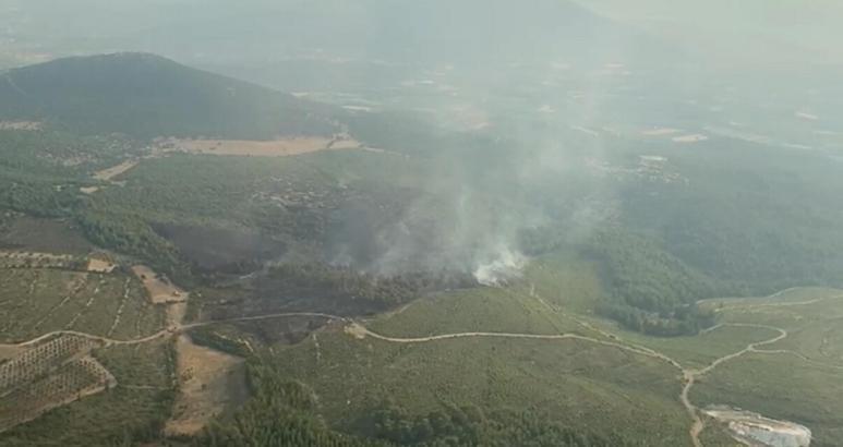 Muğla’da orman yangını (2)