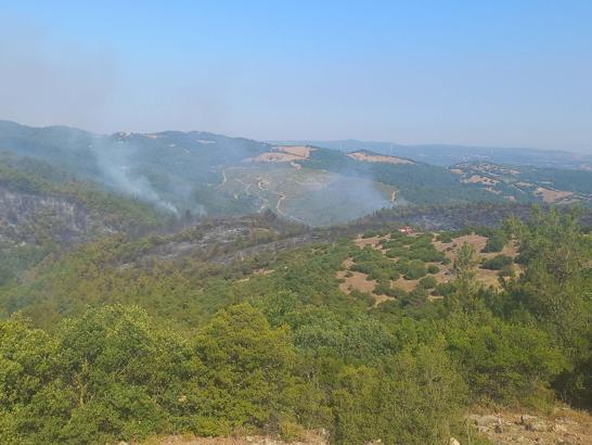 Balıkesir'deki orman yangını 2'inci gününde