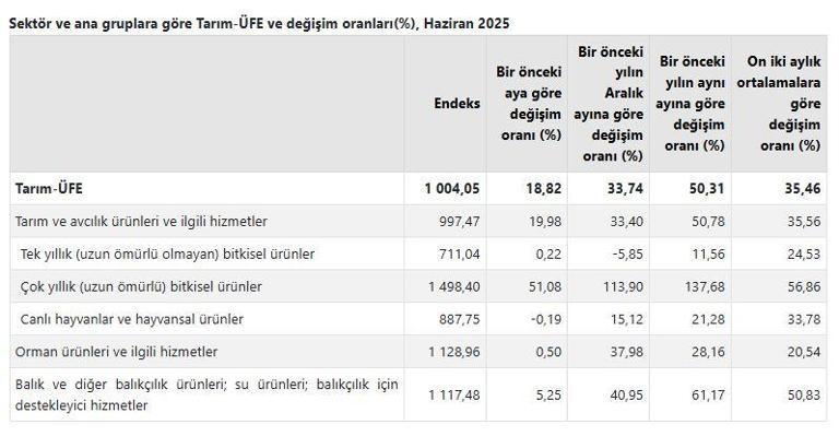 TÜİK: Tarım ürünleri üretici fiyatları haziranda arttı