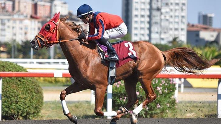 Pertevniyal Koşusu'nu Ömürünoğlu isimli at, jokeyi Gökhan Kocakaya ile kazandı