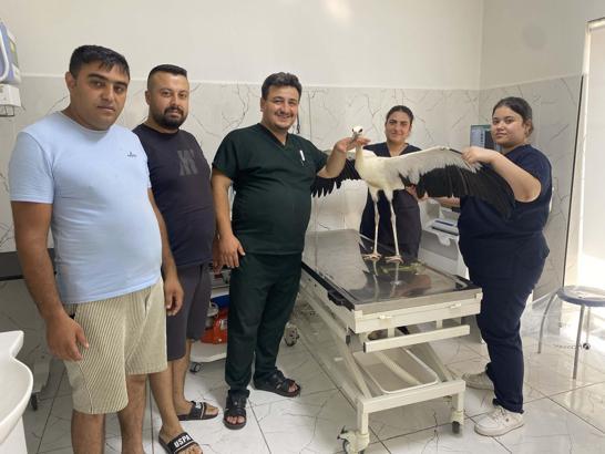 Alaşehir'de susuz kalan leylek kurtarıldı