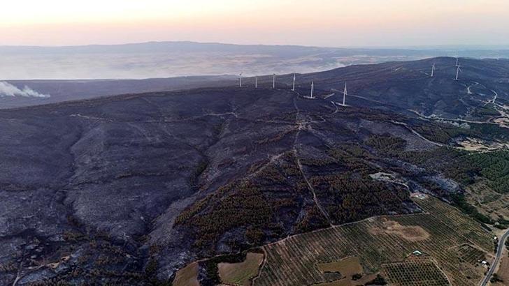 Tekirdağ'daki orman yangını kontrol altına alındı