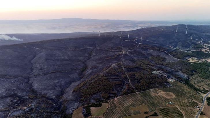 Tekirdağ'daki orman yangını kontrol altına alındı