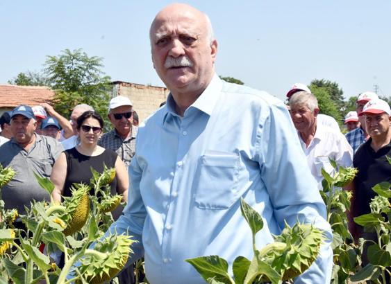 'Kuraklığın stresini ayçiçeği yüklenmiş durumda'