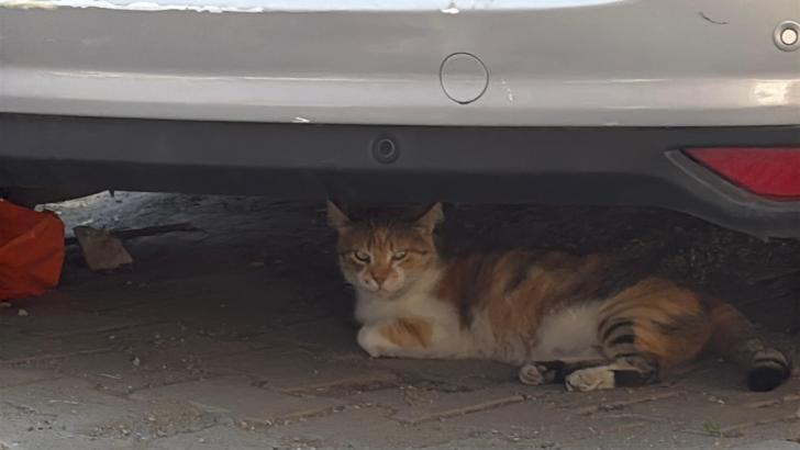 İstanbul - Kağıthane'de balkonun çöktüğü anlar kamerada: Bina tahliye edilip mühürlendi