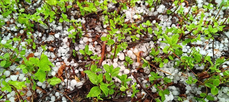 Burdur'da temmuz ortasında dolu yağdı
