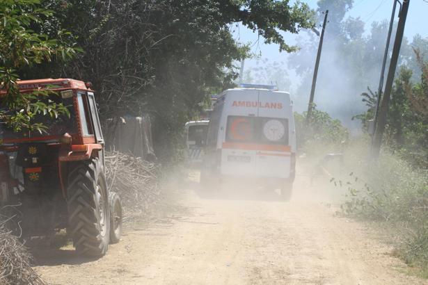 Yangında tonlarca buğday yandı, 7 büyükbaş öldü