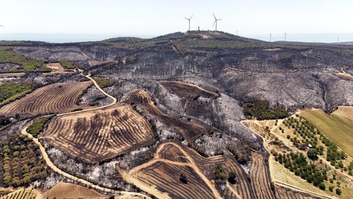 Tekirdağ’daki orman yangınında zarar gören alanlar havadan görüntülendi