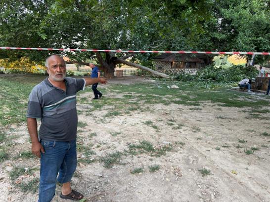 Ağacın kırılan dalı, piknik yapanların üzerine düştü: 11 yaralı