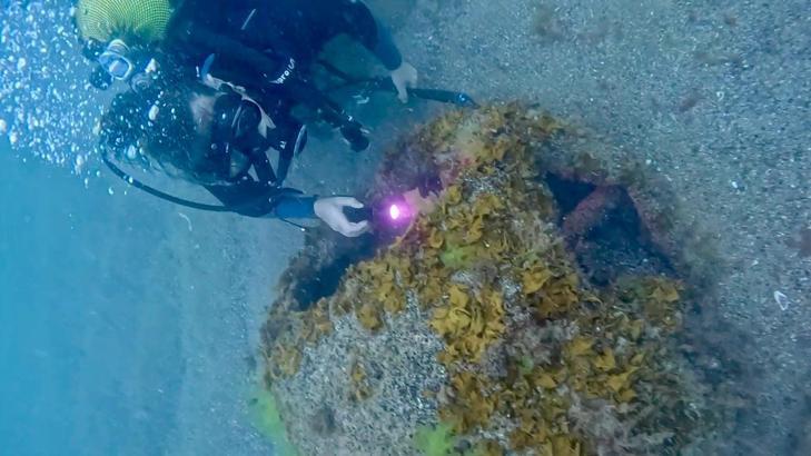 Ordu’da, denizde patlamış mayın bulundu