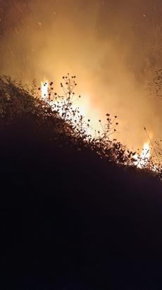 Bolu’da örtü yangını