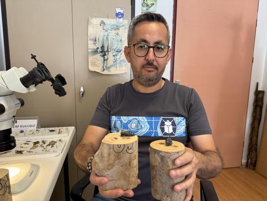 Dedektör köpekler, sınır kapılarında zararlı böcekleri tespit edecek