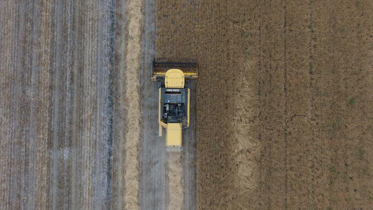Konya Ovası’nda, kuraklık ve don nedeniyle yaklaşık 1 milyon ton rekolte düşüşü bekleniyor