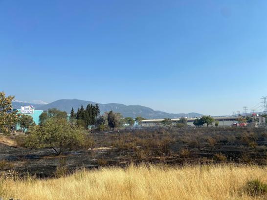 İzmir’de çıkan ot yangını AVM otoparkına sıçradı; 2 otomobilde hasar oluştu