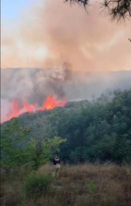 İstanbul - Sultangazi Mimar Sinan Kent Ormanı'nda çıkan yangın söndürüldü