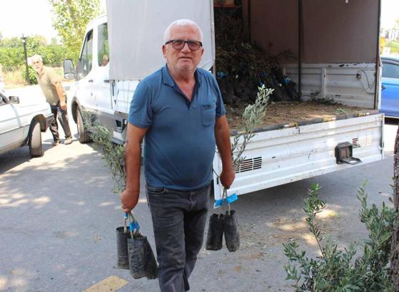 Büyükşehirden zeytin seferberliği