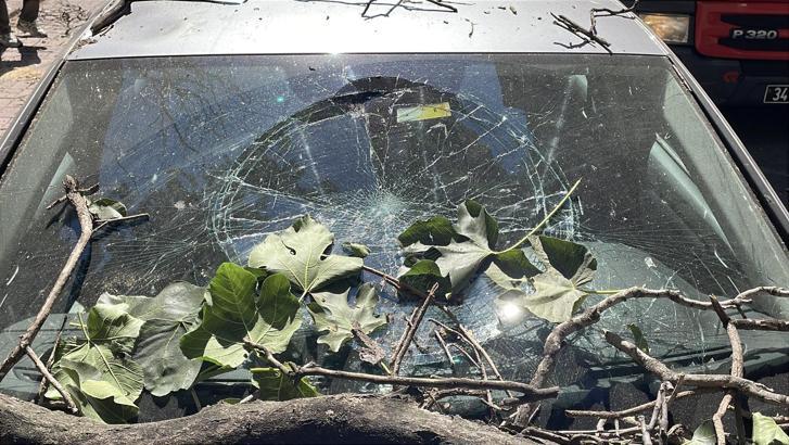 İstanbul - Şişli’de kurumuş ağaç dalı aracın üzerine düştü; bir kişi son anda kurtuldu