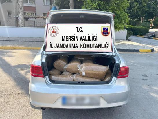 Mersin’de kaçak tütün operasyonu