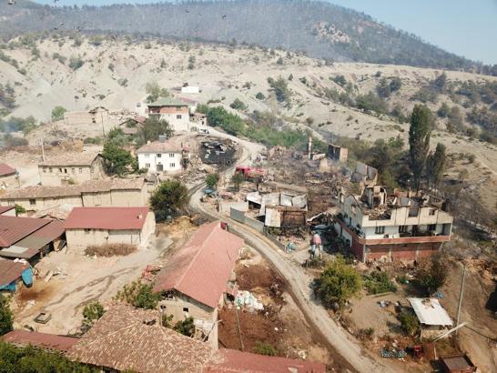 Sakarya'daki orman yangını 2'nci gününde (3)