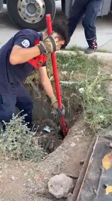 Kanalda mahsur kalan kediyi itfaiye kurtardı