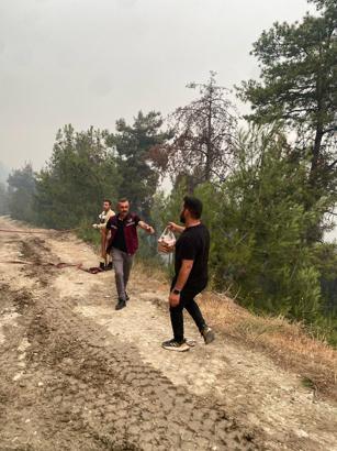 Sakarya'daki orman yangını 2'nci gününde (5)