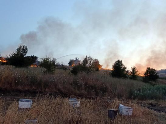 Tekirdağ’da ot yangını