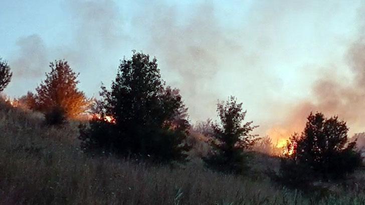 Tekirdağ’da ot yangını