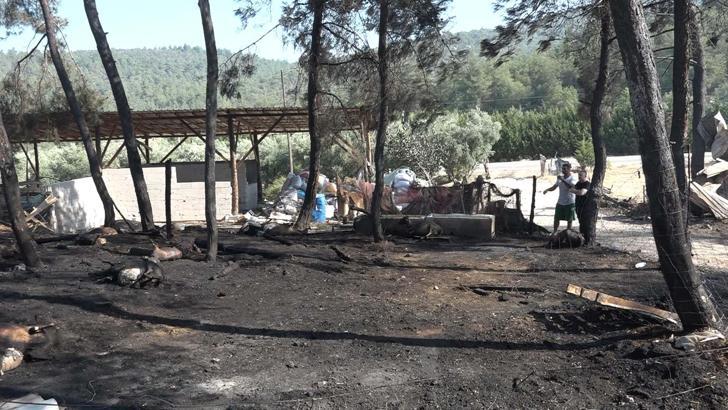 Çiftliğinde çıkan yangında 95 hayvanı öldü