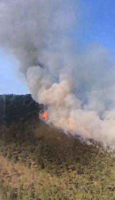 Eskişehir’de orman yangını