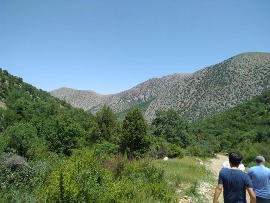 Niğde’de ormanlara giriş yasaklandı