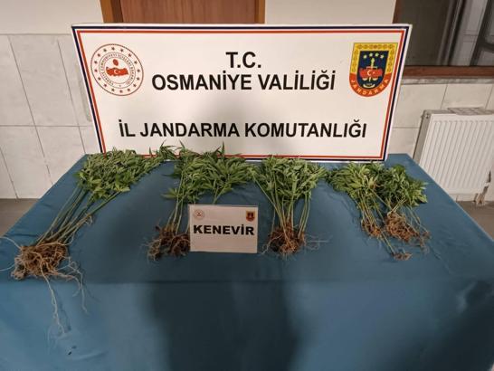 Osmaniye’de jandarma son bir haftada 115 şüpheliyi yakaladı