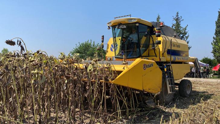 Osmaniye’de ayçiçeği hasadı başladı