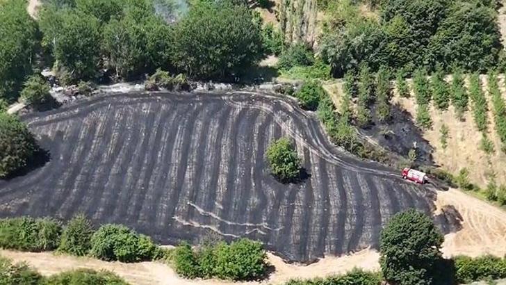 Bursa'da anız yangını; 30 dönüm alan zarar gördü