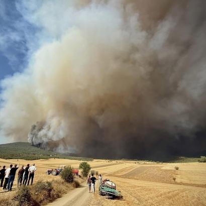 Eskişehir’de orman yangını (2)