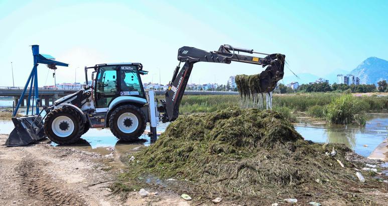 Boğaçayı'nda her gün 6 ile 8 ton arası sucul ot toplanıyor
