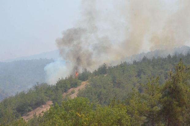 Sakarya'daki orman yangını 3'üncü gününde (5)