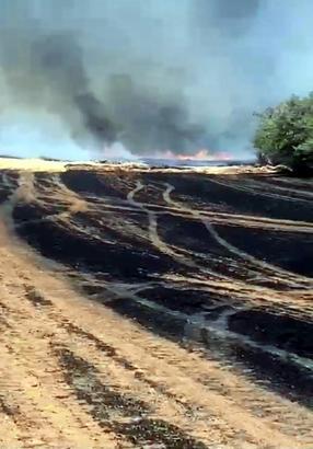 Tekirdağ’da anız yangınında 500 dönüm tarım arazisi zarar gördü