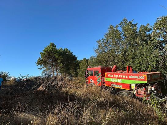 Sakarya'nın Adapazarı ve Hendek ilçesinde orman yangını çıktı
