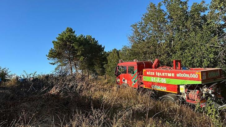 Sakarya'nın Adapazarı ve Hendek ilçesinde orman yangını çıktı