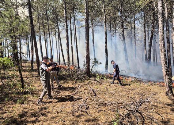Eskişehir’de orman yangını / Ek fotoğraflar